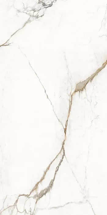 Unique Marble Paonazzetto Silktech 60x120